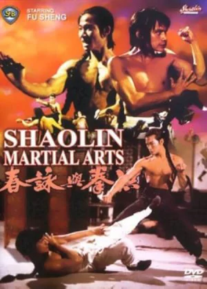 Shaolin Martial Arts poster