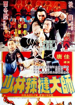 Shaolin Prince poster