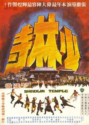 Shaolin Temple poster