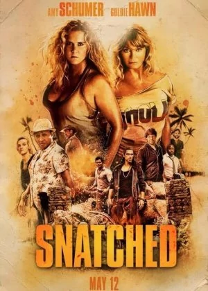 Snatched poster