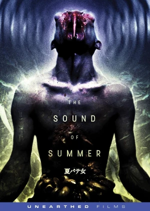 The Sound of Summer poster