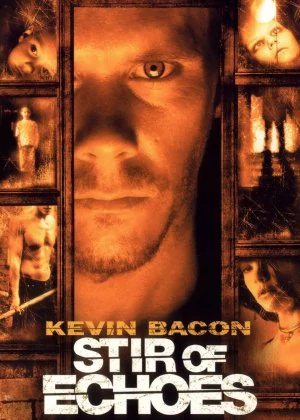 Stir of Echoes poster