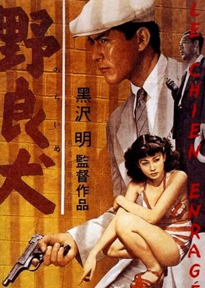 Stray Dog poster