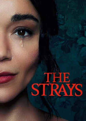The Strays poster