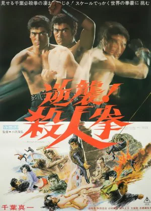 The Street Fighter's Last Revenge poster