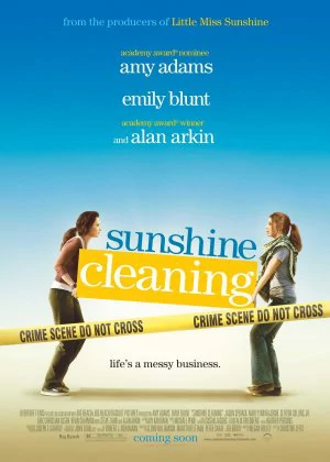 Sunshine Cleaning poster
