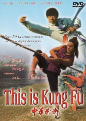 This Is Kung Fu poster