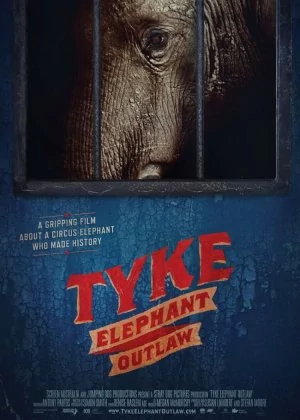 Tyke Elephant Outlaw poster