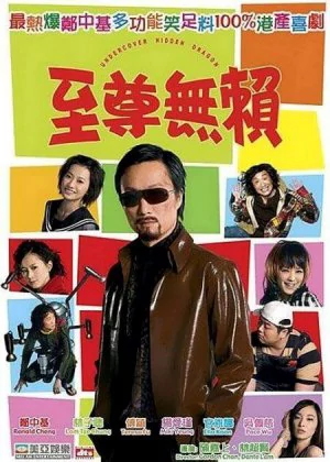 Undercover Hidden Dragon poster