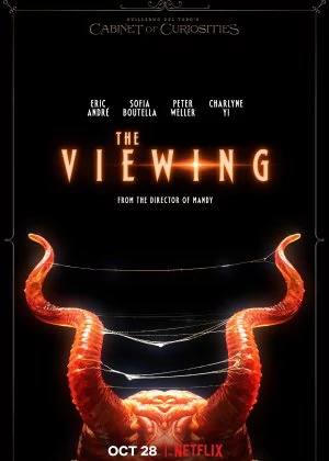 The Viewing poster