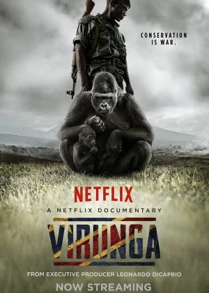 Virunga poster