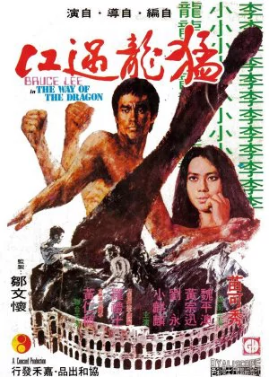 The Way of the Dragon poster