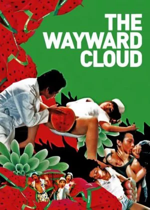 The Wayward Cloud poster