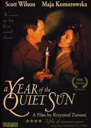 A Year of the Quiet Sun poster