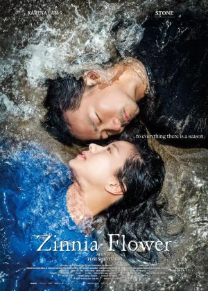 Zinnia Flower poster
