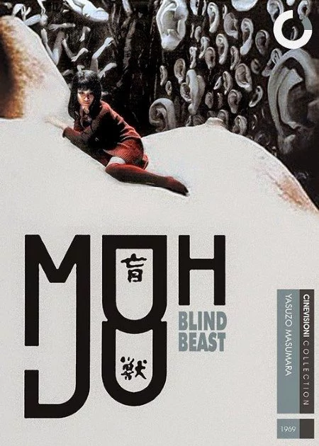 Blind Beast poster