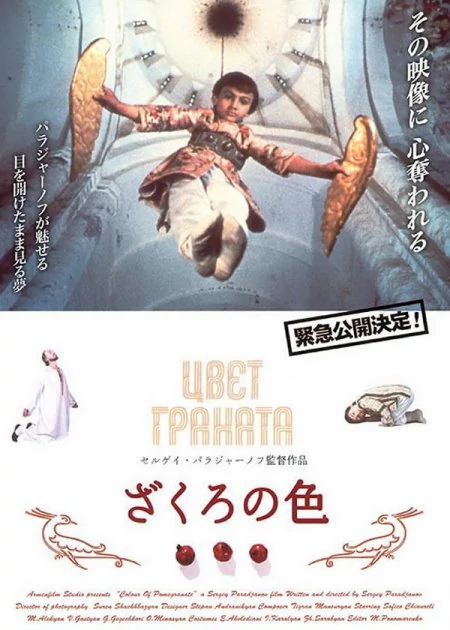 The Color of Pomegranates poster