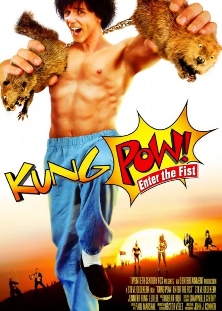Kung Pow: Enter the Fist poster