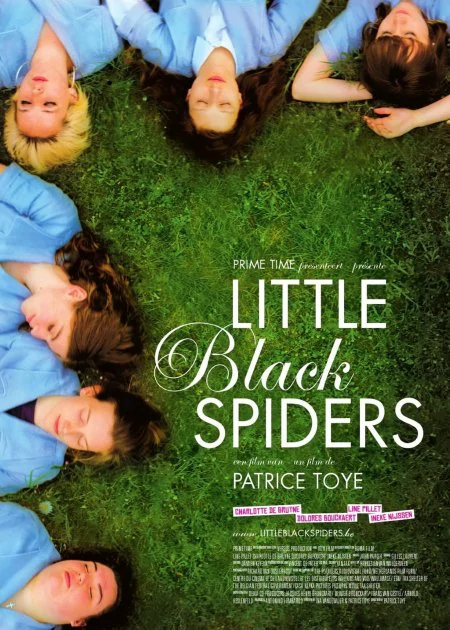 Little Black Spiders poster