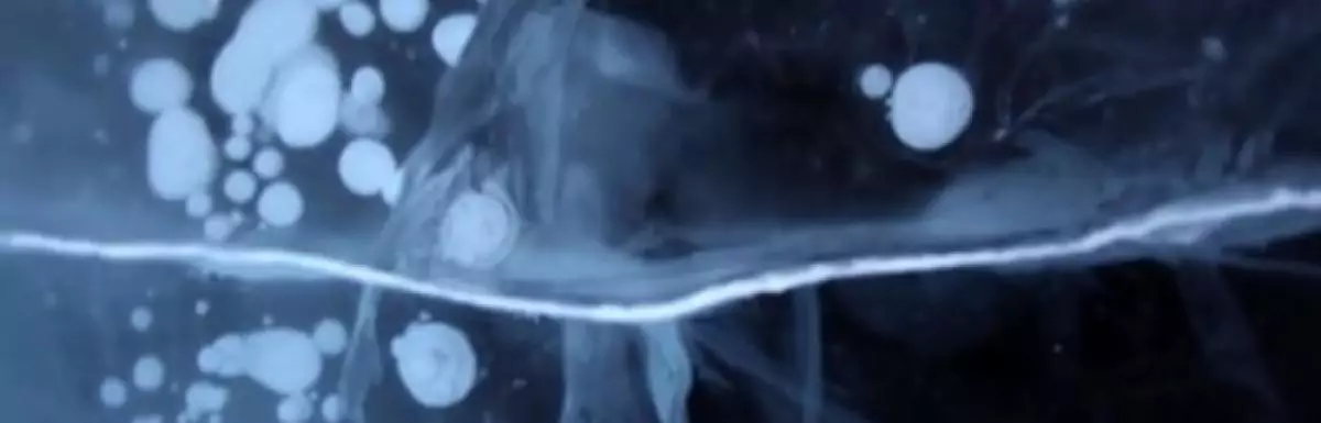 screen capture of Antarctica: A Year on Ice