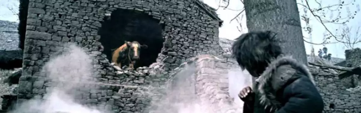 screen cap of Cow