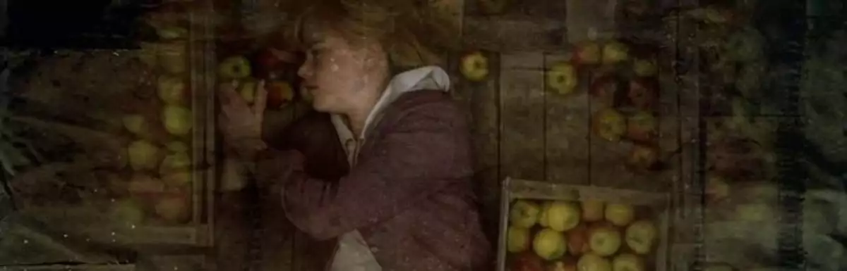 screen capture of Dogville