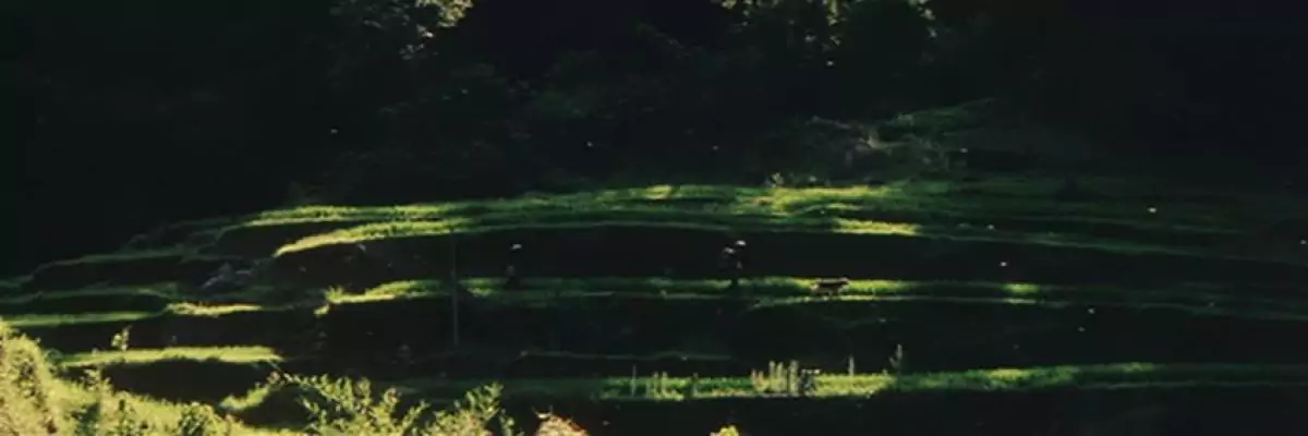 screen capture of Postmen in the Mountains