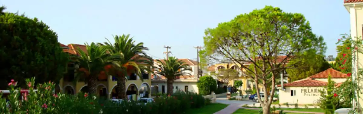 a nice view from our hotel, no vacation is complete without palm trees